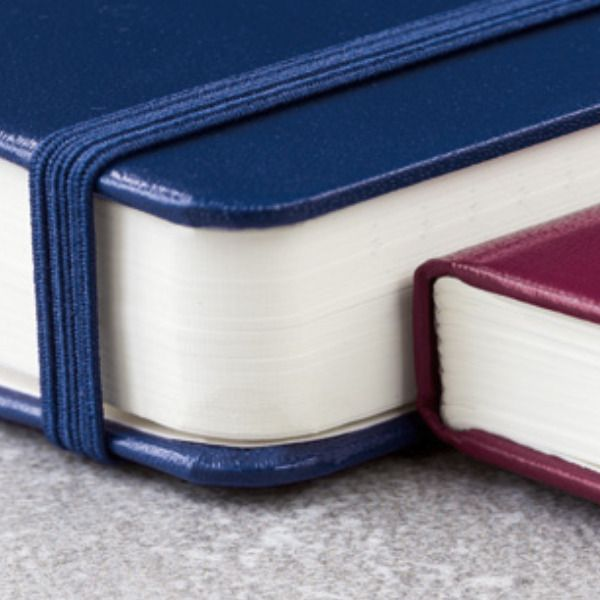 Two bound books, one blue and one red, on a gray surface.