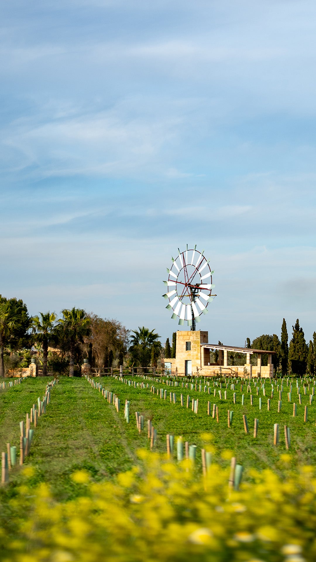 Windmill in a field with trees and a clear sky