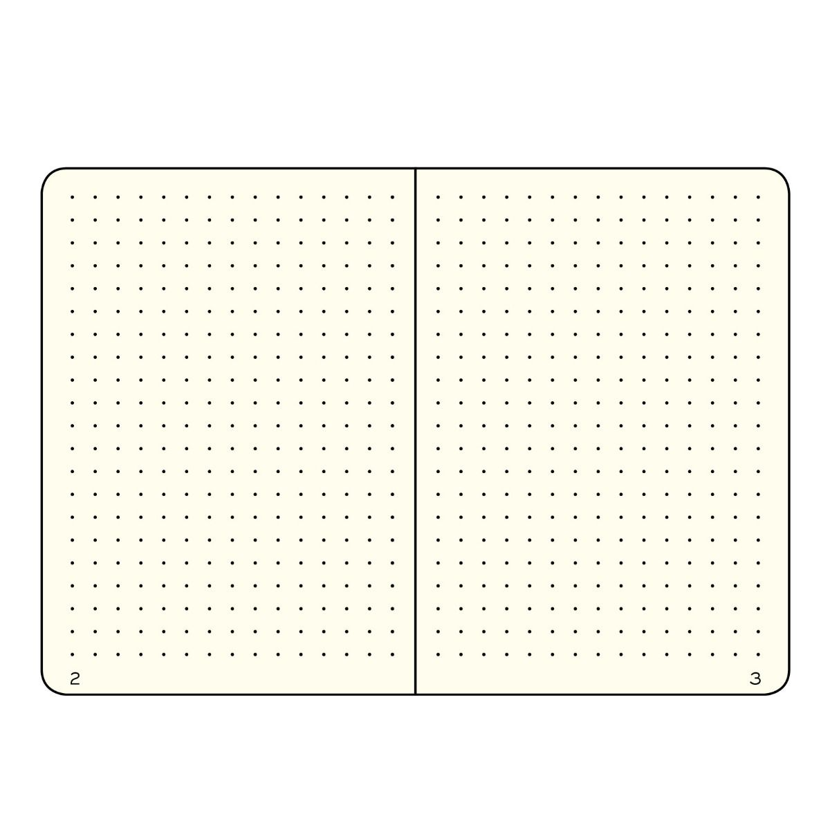 Two grid-lined notebook pages on a white background