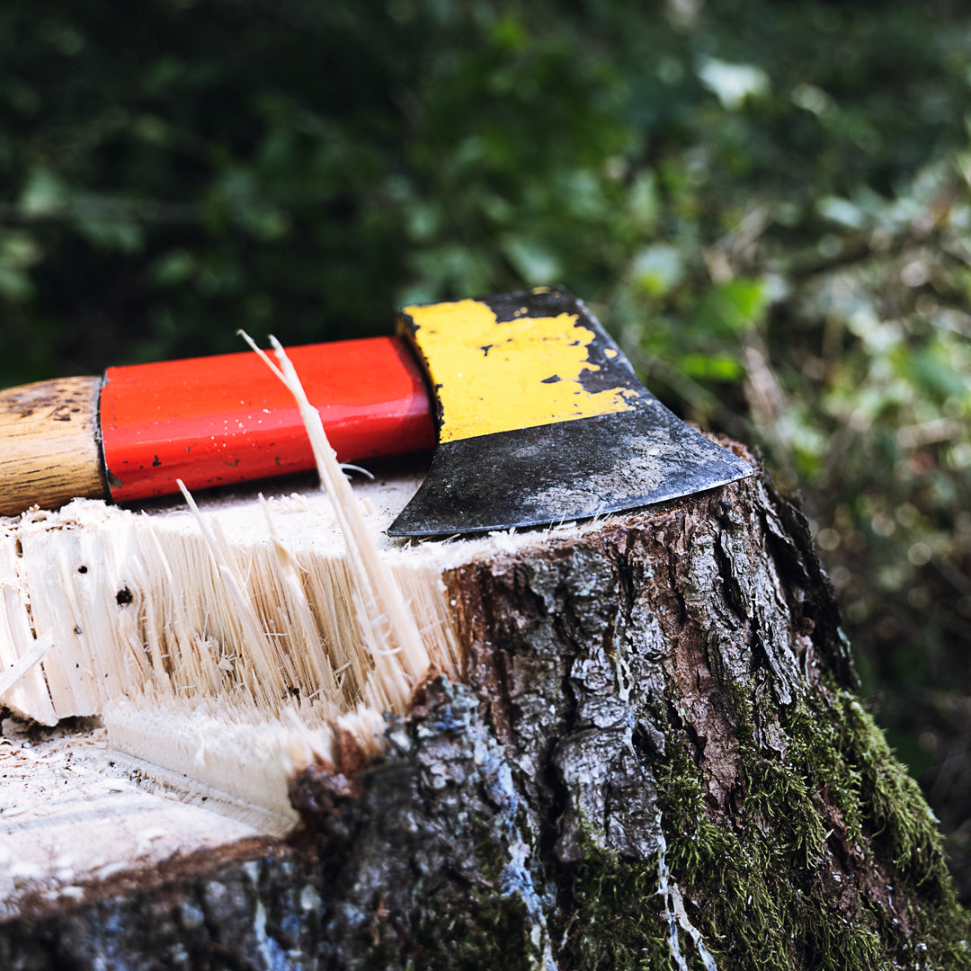 Axes with red and yellow handles on a tree stump with a forest background