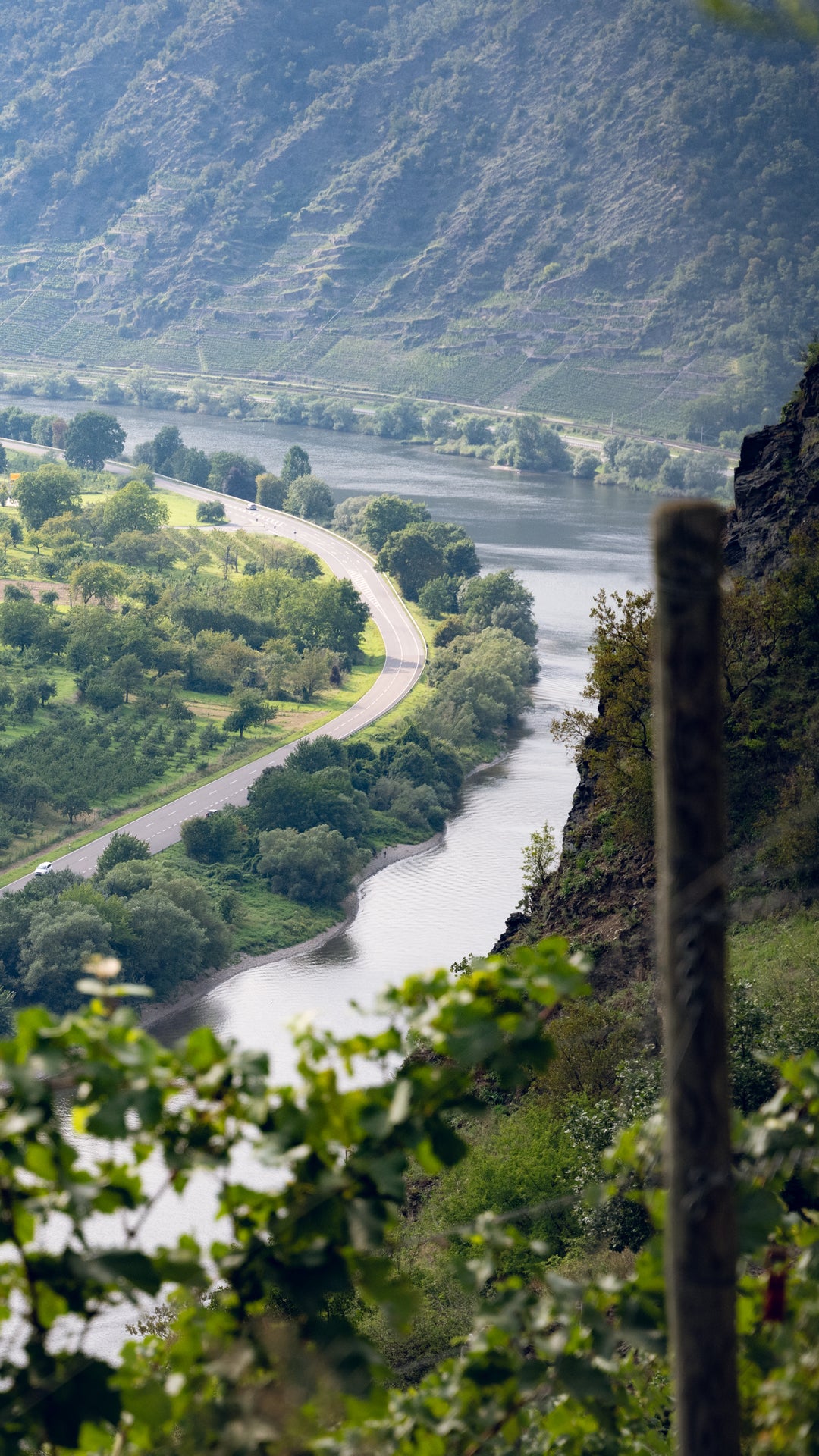 River winding through a lush green landscape with mountains in the background
